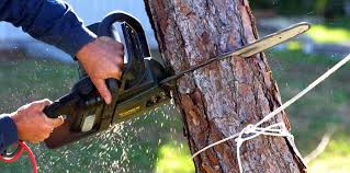 Lawn Maintenance Plans in Daphne, AL