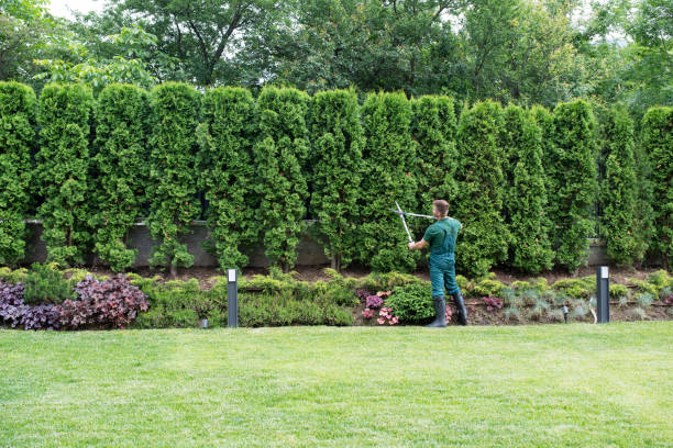 Best Tree Disease Treatment  in Daphne, AL