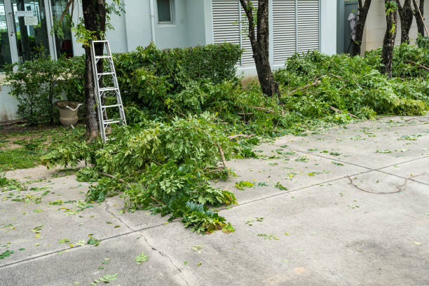 Best Tree Preservation Services  in Daphne, AL